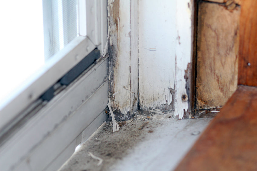 Atlanta, GA EPA Lead Remodeling, Repair & Painting (RRP) Program Refresher Training